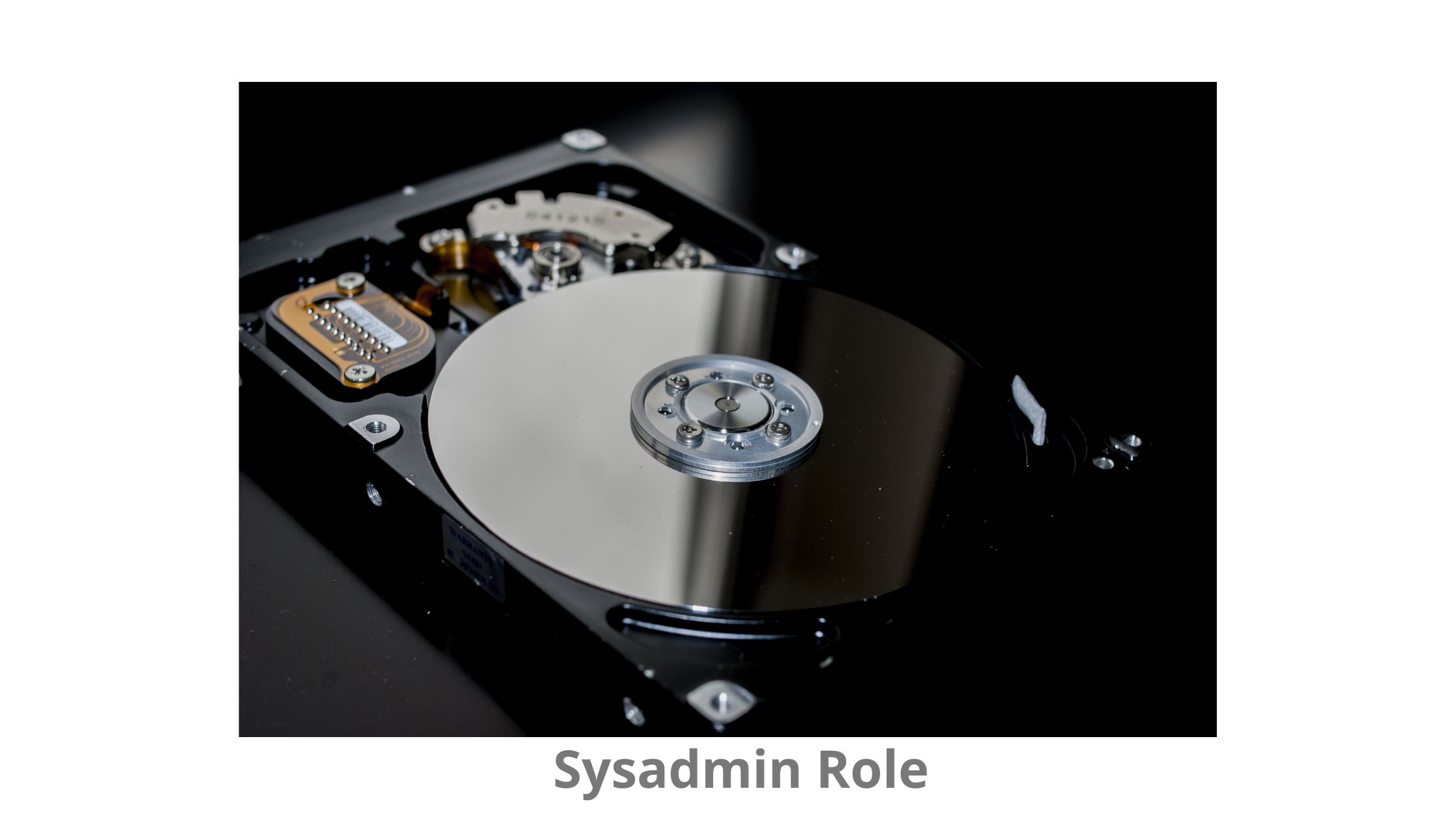 The Role of System Administrators in IT Management